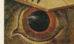 bruegel   arcade   marijnissen et seidel