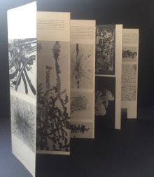  p Requichot p p 1929 1961 p p retrospective p p Galerie Daniel Cordier p 