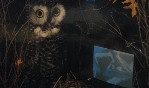 Paik Nam June   Fargier jean paul