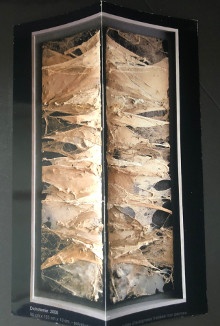  p Jean Luc Bruniaux p p Photographie p p i Dichotomie 2008 i p p p p p 