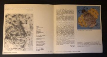  p b Francoise Dumayet b p p Galerie Poisson d Or p p Paris Lyon Limoges p 