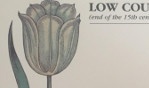 Botany Low Countries   15e   17e siecle   exposition anvers 1993