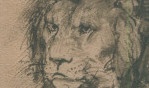 Rembrandt dessinateur   expo louvre 2006