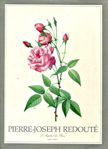 Pierre Joseph Redoute em Le Raphael des Fleurs em 1759 1840 Lawalree Andre et Laissus Yves